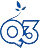 q3